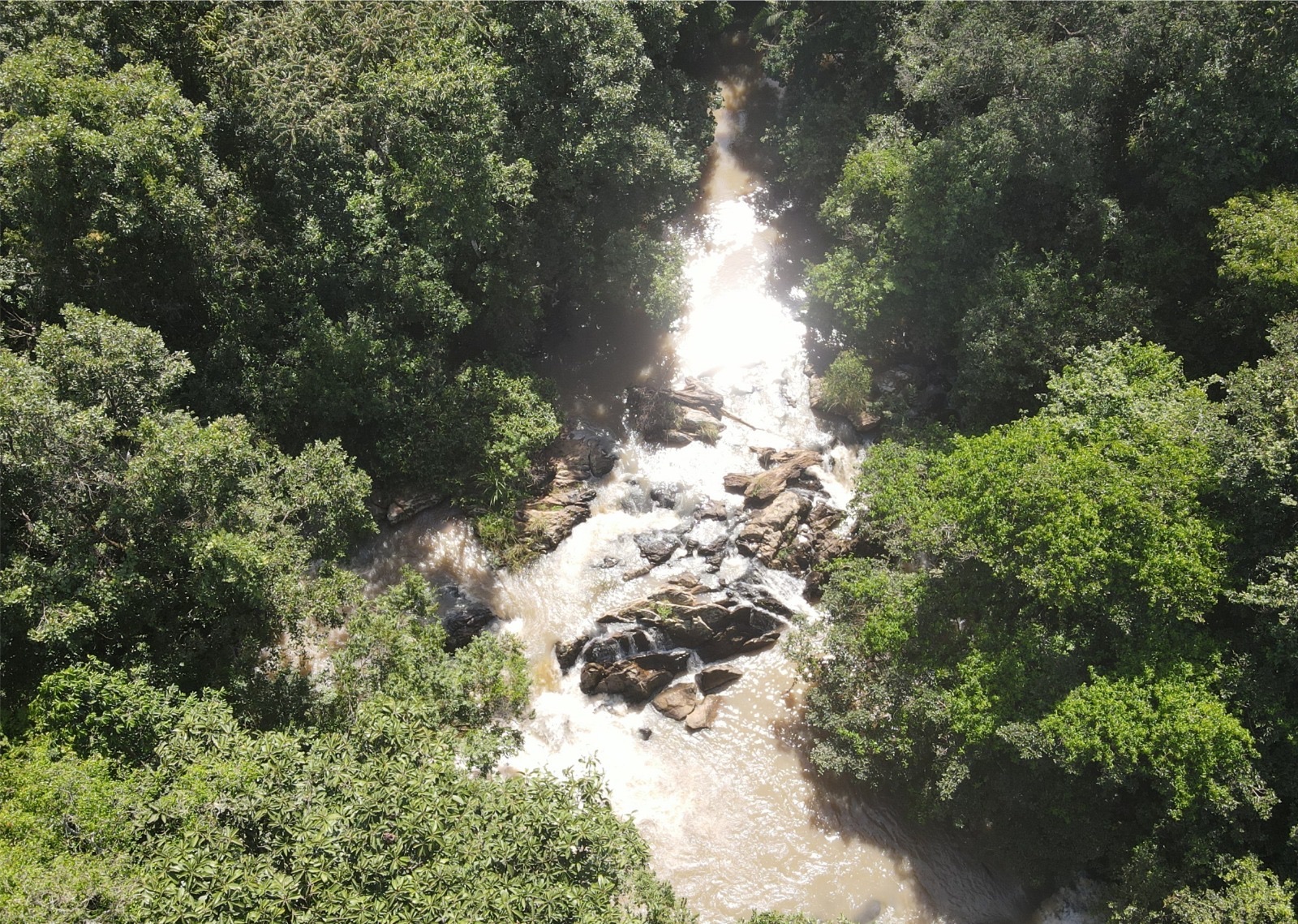 An aerial view of a river rushing over rocks through the dense Kakamega Forest canopy