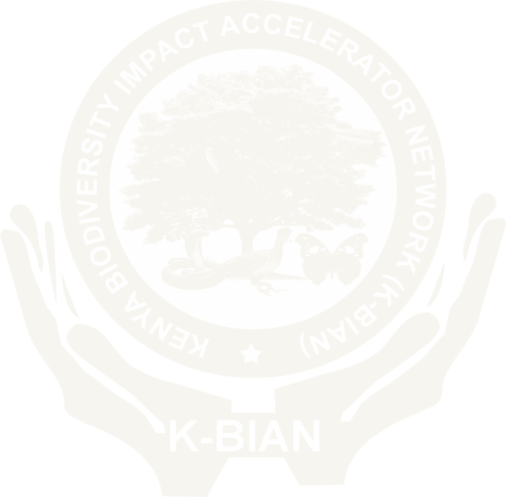 K-BIAN